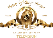 MGM Television
